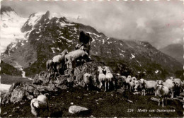 Motiv Am Sustenpass (220) - Gadmen 