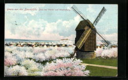 AK Werder A. H., Panorama Mit Windmühle Während Der Baumblüte  - Werder