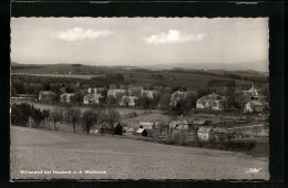 AK Wöllershof B. Neustadt A. D. Waldnaab, Totalansicht  - Neustadt Waldnaab