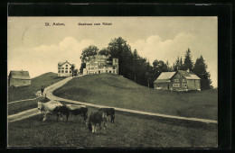 AK St. Anton, Kühe Auf Der Weide Vor Dem Gasthaus Zum Rössli  - St. Anton