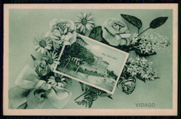 CHAVES - VIDAGO -  HOTEIS E RESTAURANTES - Palace Hotel.  ( Edição De Francisco Costa) Carte Postale - Vila Real