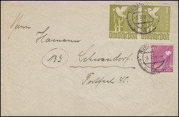 959a Taube 2x 1 M Im Paar + 954 Sämann 40 Pf Zehnfachfrankatur Bf. BERLIN 3.7.68 - Covers & Documents