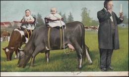 Karikatur-AK Milch Direkt Von Der Kuh: Säuglinge Beim Milchtrinken, ANVERS 1908 - Humour