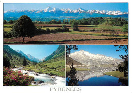 65 - Hautes Pyrénées - Multivues - CPM - Voir Scans Recto-Verso - Autres & Non Classés