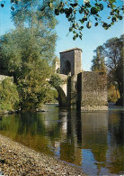 64 - Sauveterre De Béarn - Le Pont De La Légende Sur Le Gave - Carte Neuve - CPM - Voir Scans Recto-Verso - Sauveterre De Bearn