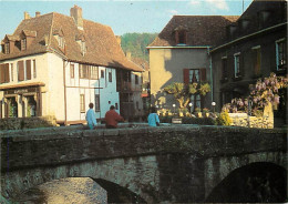 64 - Salies De Béarn - Restaurant La Terasse  Et Le Pont Mayou - Carte Neuve - CPM - Voir Scans Recto-Verso - Salies De Bearn