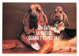 Animaux - Chiens - Basset - CPM - Voir Scans Recto-Verso - Chiens