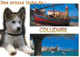 Animaux - Chiens - Collioure - Multivues - CPM - Voir Scans Recto-Verso - Chiens