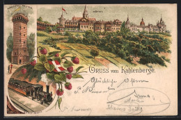 Vorläufer-Lithographie Wien-Kahlenberg, 1895, Aussichtsthurm, Berg-Bahn, Hotel  - Autres & Non Classés