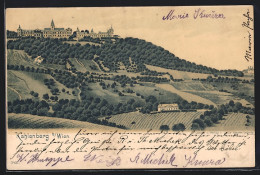 Lithographie Wien-Kahlenberg, Gesamtansicht Mit Anbaufeldern  - Other & Unclassified