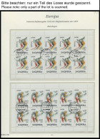 EUROPA UNION KB O, 1995, Frieden Und Freiheit In Kleinbogen, Fast Kompletter Jahrgang, Pracht, Mi. 673.- - Collections
