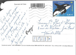 TIBRE N° 3487 -  L'ORQUE   - TARIF 1 1 02 / 31 5 03 -  - SEUL SUR LETTRE -  2002 - Postal Rates