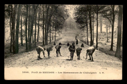 92 - MEUDON - EN FORET - LES RAMASSEURS DE CHATAIGNES - Meudon