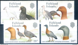 Fauna. Oche 1988. - Falkland