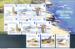 Alderney. Fauna. Uccelli Migratori 2005. - Guernsey