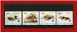 YOUGOSLAVIE - 1989- N° 2211/2214 -  NEUFS** - ESPECES ANIMALES PROTEGEES - CANARDS SAUVAGES - Y & T - COTE : 7.00 Euros - Unused Stamps