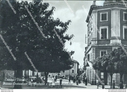 Ch119 Cartolina Canino Piazza Costantino De Andreis Giardino Pubblico Vedi Retro - Viterbo