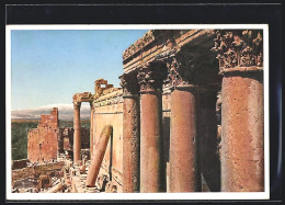 AK Baalbek, Baccchustempel Von Süden  - Liban