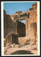 AK Baalbek, Bacchustempel, Portal  - Lebanon