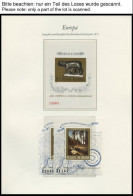 EUROPA UNION **, Postfrische Sammlung Sympathie- Und Mitläuferausgaben Von 1959-2005, Meist Nur Auf Borek Falzlosseiten, - Collections