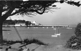 Port Navalo * Le Phare Et La Grande Jetée - Arzon