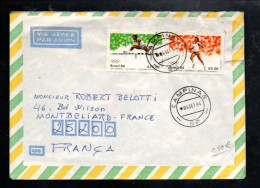 BRESIL AFFRANCHISSEMENT COMPOSE SUR LETTRE POUR LA FRANCE 1974 - Covers & Documents