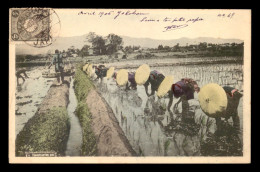 JAPON - TRAVAIL DANS LES RIZIERES - Autres & Non Classés