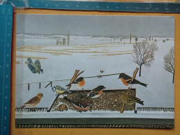 KOV 484-126 - PEINTURE, PENTRE, ART, UNICEF, BIRD, OISEAU - Peintures & Tableaux