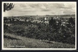 AK Dornstetten /Schwarzwald, Ortsansicht Mit Blumenwiese  - Sonstige & Ohne Zuordnung