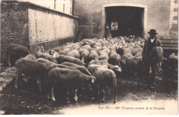 FR66 LES PYRENNEES ORIENTALES - Mtil 349 - Troupeau De Moutons Sortant De La Bergerie - Berger - Animée - Belle - Sonstige & Ohne Zuordnung