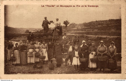 NÂ°2422 Z -cpa La "PaulÃ©e" En Bourgogne Ou Fin De La Vendange- - Vines