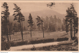 NÂ°2263 Z -cpa Wettstein -le CimetiÃ¨re Des Chasseurs Ã  Pied- - Cimetières Militaires