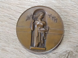 Finland Medal Benignitatis Humane Finlandia Memor - Finlande