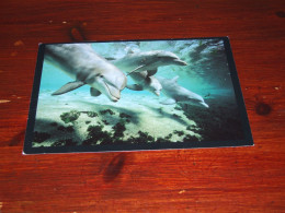 77375-        12 X 17 CM. CARD - DOLFIJNEN  DOLFINS - Dolphins