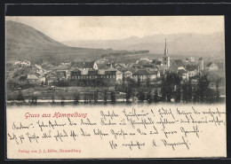 AK Hammelburg, Ortsansicht Mit Kirche U. Berg  - Hammelburg