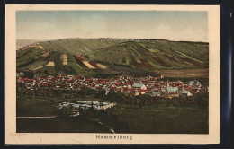 AK Hammelburg, Blick Auf Die Ortschaft U. Umliegende Felder  - Hammelburg