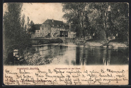 AK Hammelburg, Wasserpartie An Der Insel  - Hammelburg