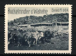 Reklamemarke Deutsch-Ostafrika, Benedikt.-Mission, Buckelrinder D. Wahehe  - Vignetten (Erinnophilie)