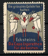 Reklamemarke Da Capo Cigaretten, Eckstein, Die Grössten Gelehrten - Drei Störche Mit Brillen  - Erinnophilie