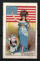 Reklamemarke Vereinigte Staaten Von America, Freiheitsstatue Mit Federschmuck, Flagge Und Wappen  - Erinnophilie