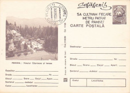 TOURISM, PREDEAL MOUNTAIN RESORT, DEER HOTEL, POSTCARD STATIONERY, 1980, ROMANIA - Hotels, Restaurants & Cafés
