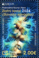 Montenegro - 2024 - Europa CEPT - Underwater Fauna And Flora - Mint Stamp - Montenegro