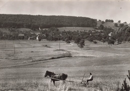 FRANCE - Winkel - Vue Générale - Cheval - Charette - Animé - Carte Postale Ancienne - Altkirch