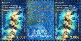 Montenegro - 2024 - Europa CEPT - Underwater Fauna And Flora - Mint Stamp PAIR With Coupon - Montenegro