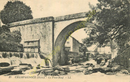 39.  CHAMPAGNOLE .  Le Pont Neuf . - Champagnole