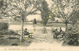 34.  MONTPELLIER . Les Nouveaux Jardins De L'Esplanade .  CPA Animée . - Montpellier