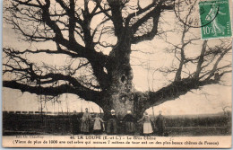 28 LA LOUPE - Le Gros Chene, 7 Metres De Tour -  - La Loupe