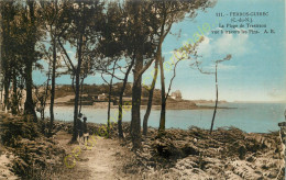 22.  PERROS GUIREC .  La Plage De Trestraou Vue à Travers Les Pins . - Perros-Guirec