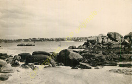 22.  TREBEURDEN . Vue De L'Ile Molène . - Trébeurden