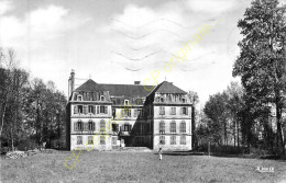 52.  LOUVEMONT . Le Château Du Buisson . - Autres & Non Classés